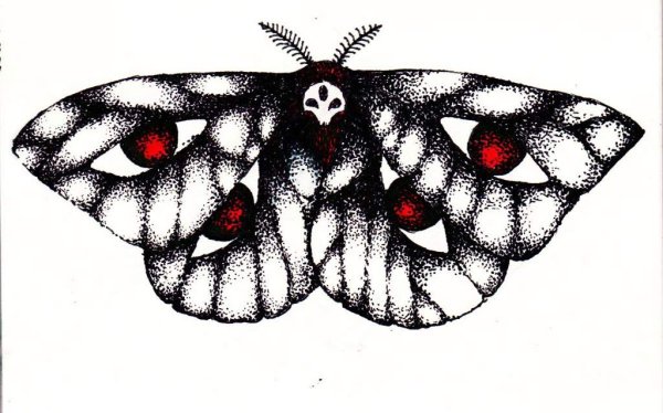 Мотыльки арты