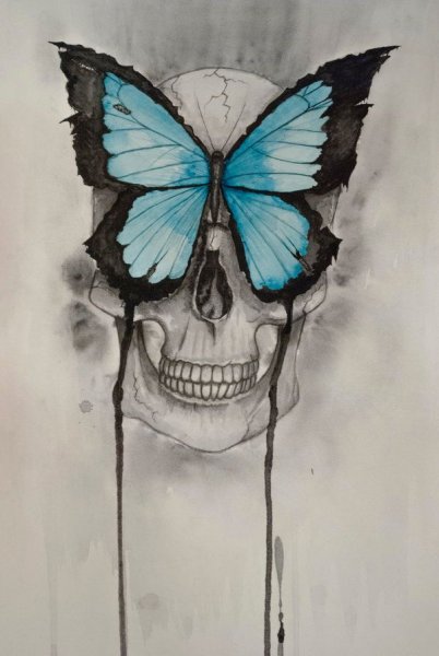 Череп из бабочек