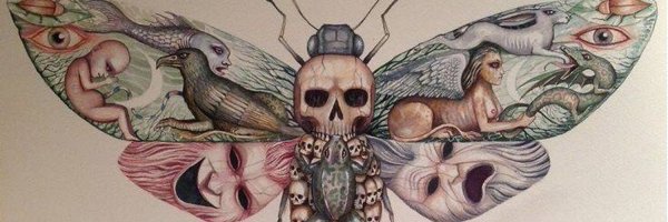 Мертвый мотылек арт