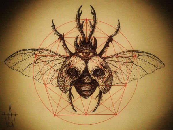 Насекомые дотворк