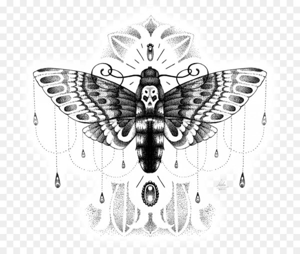 Бражник бабочка мертвая голова тату