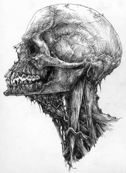 Самые жуткие детские рисунки