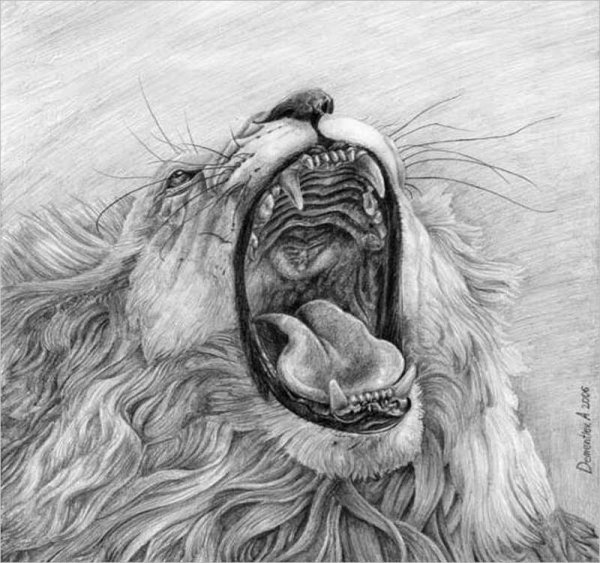 Оскалившийся Лев эскиз