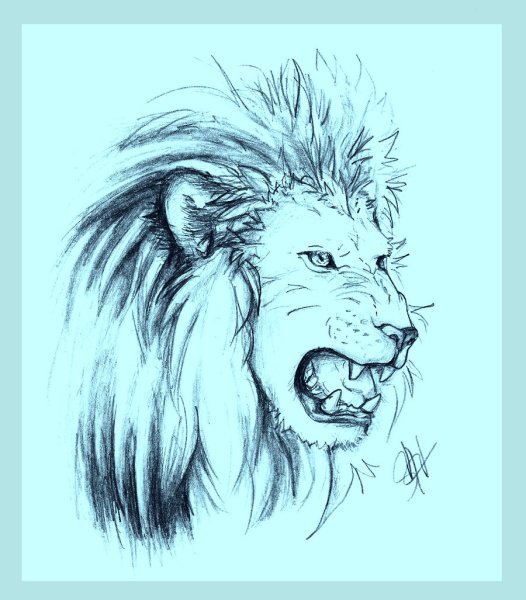 Рычащий Лев тату эскизы