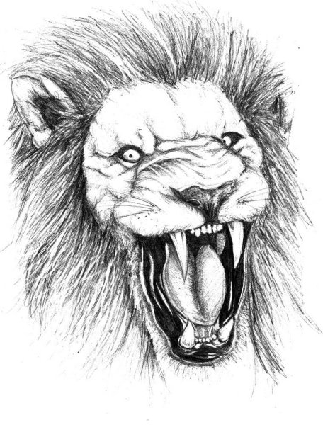 Эскиз Льва с открытой пастью