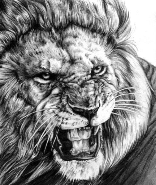 Рисунки Львов