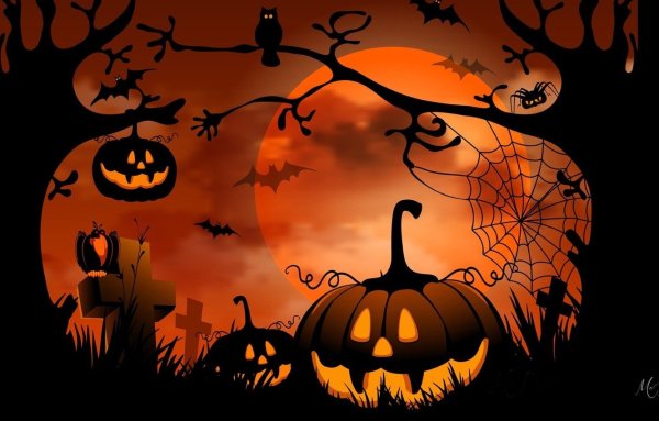 Красивый череп