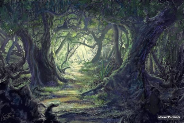 Дремучий лес фэнтези