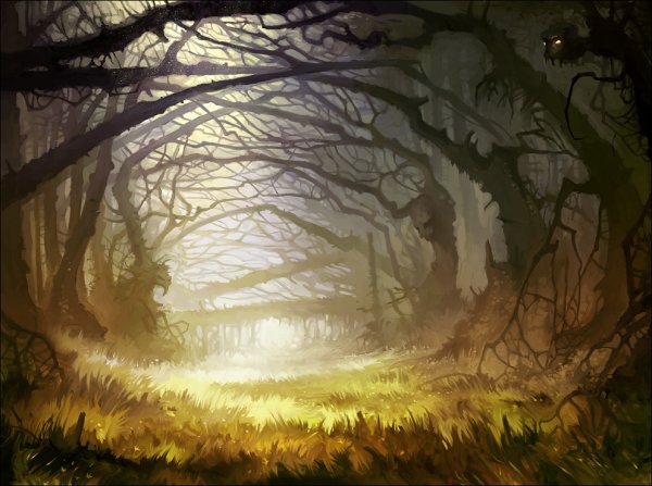 Заколдованный лес