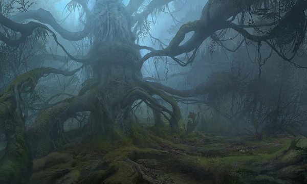 Дремучий лес фэнтези