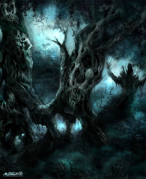 Мрачный сказочный лес