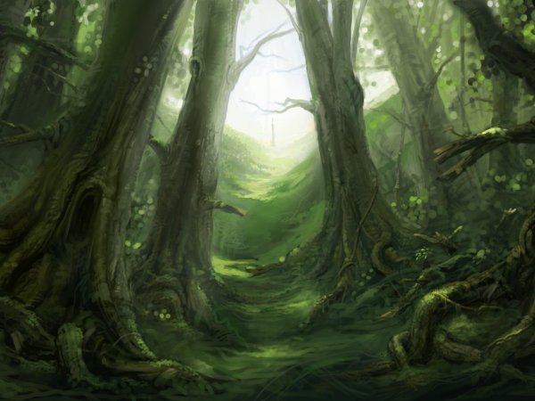 Дремучие сказочные леса