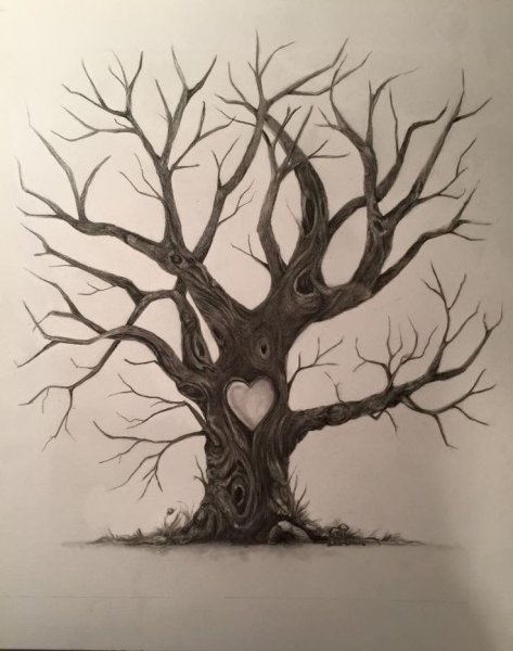 Засохшее дерево арт