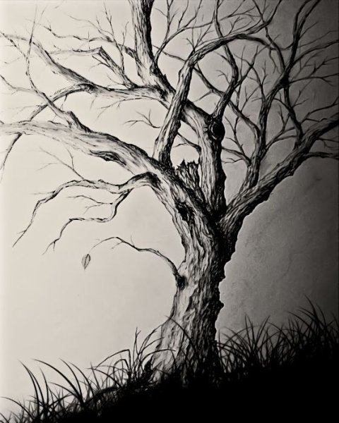 Сухое дерево эскиз