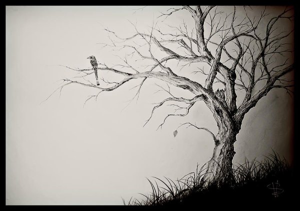 Сухое дерево эскиз