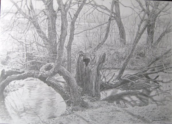 Пейзаж графитным карандашом