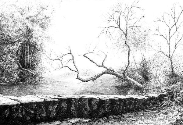 Пейзаж черно белый рисунок