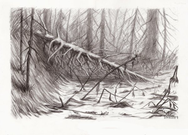 Лес эскиз карандашом