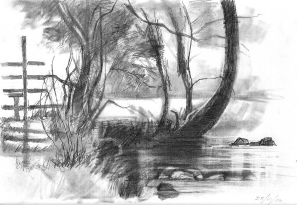 Пейзажи в графике легкие