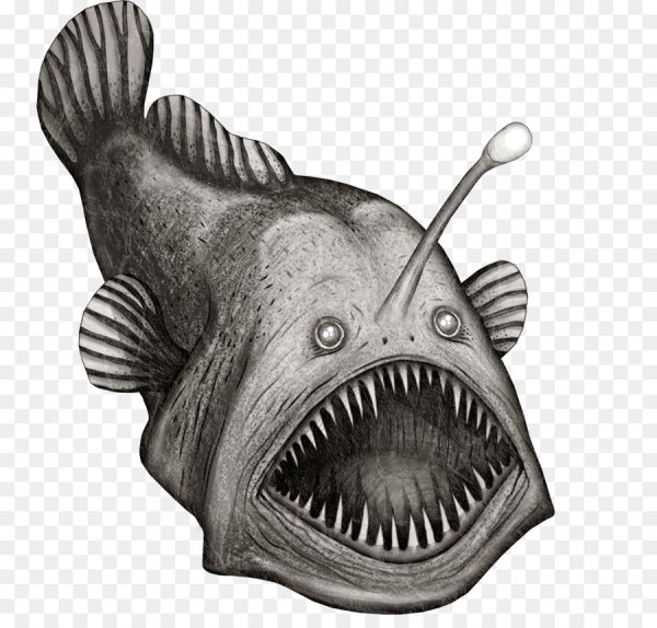 Раскраска морские чудовища