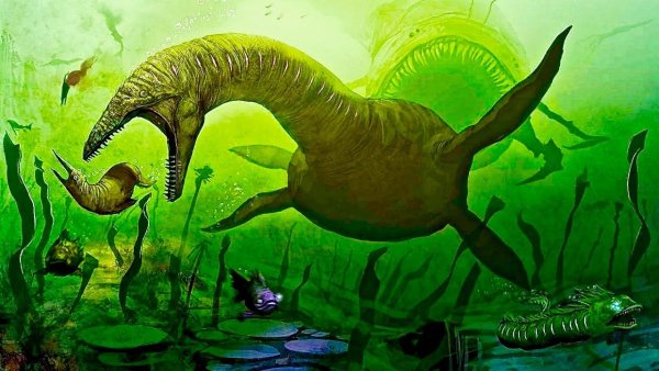 Кашалот Левиафан Мелвилла