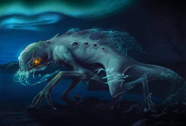 Страшные обитатели моря