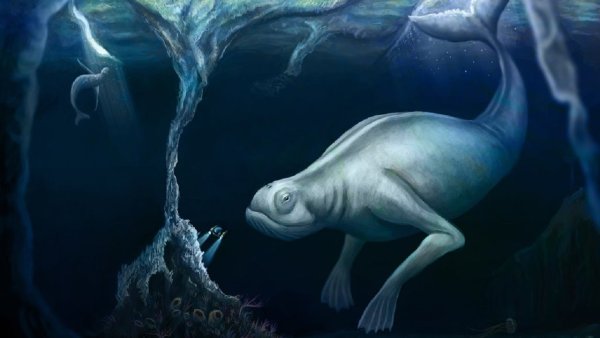 Блуп монстр глубины