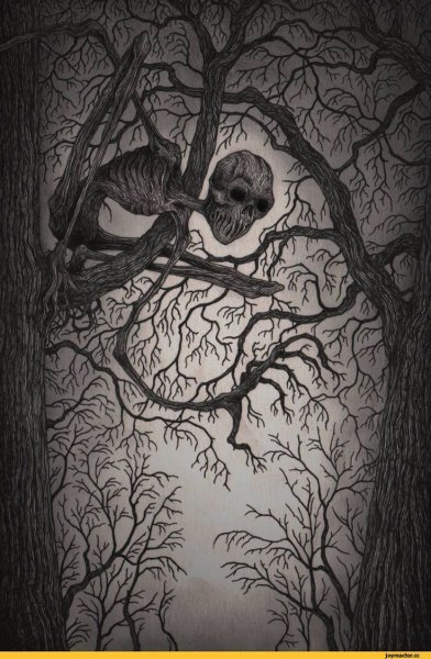 Аиу портреты