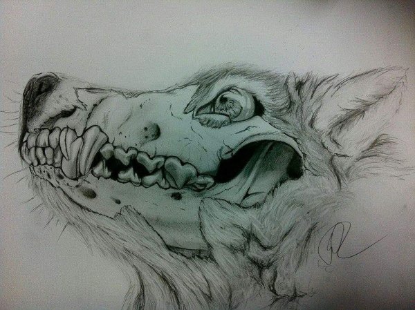 Необычные существа карандашом