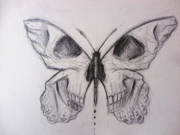 Корашные ресунки карандашём