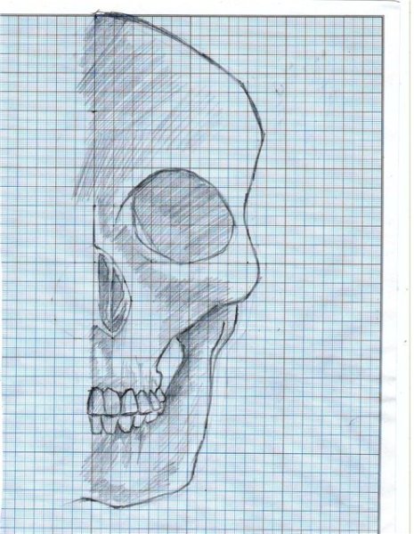 Череп карандашом по клеткам