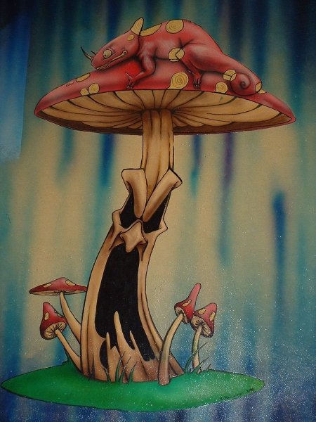 Психоделические грибы