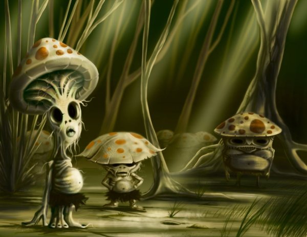 Аманита Мускария шаман