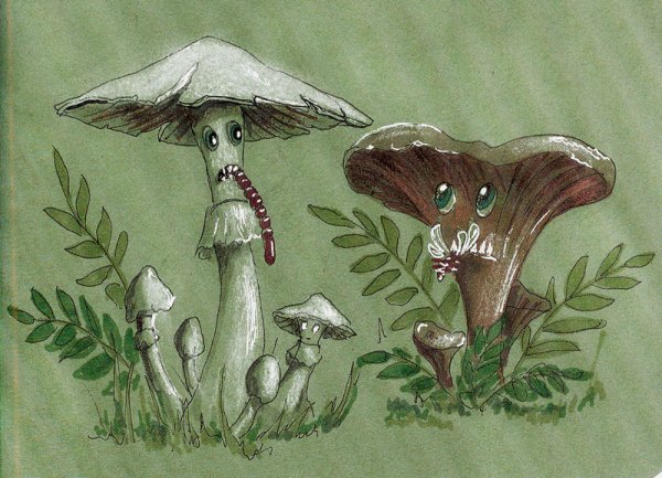 Гриб дактилярия белоснежная