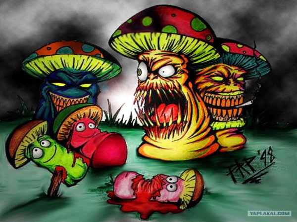 Психоделические грибы