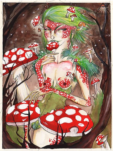 Мухомор астрал