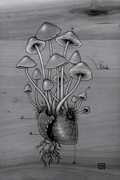 Псилоцибиновые грибы тату