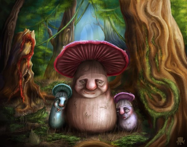 Волшебные грибы
