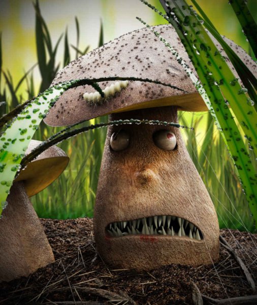 Веселый гриб