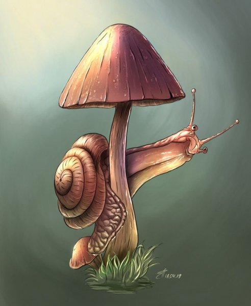 Грибы арт