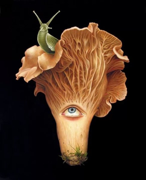 Гриб арт сюрреализм