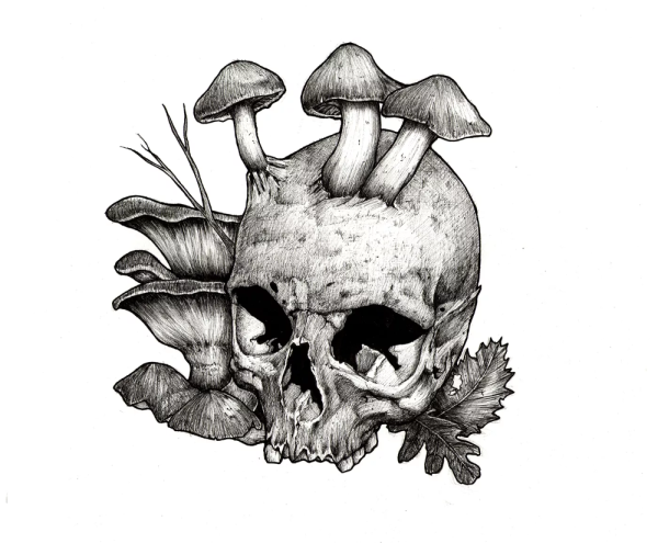 Череп с грибами тату