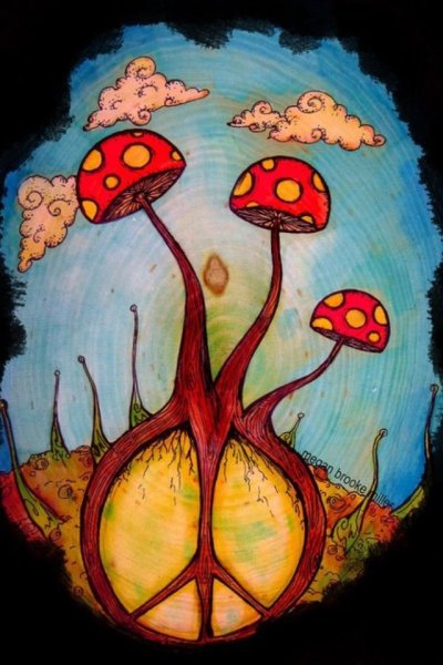 Грибы галлюциногенные психоделика