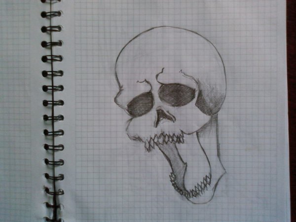 Рисунки шариковой ручкой в тетради