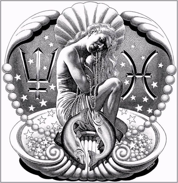 Знаки зодиака. Водолей