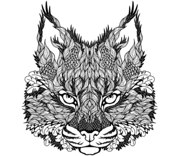 Раскраска антистресс Рысь