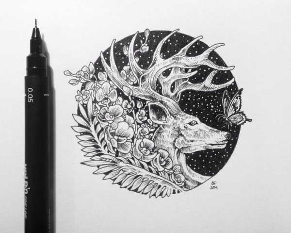 Керби Розанес дудл