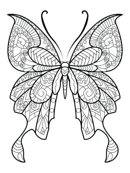 Раскраска "бабочки"