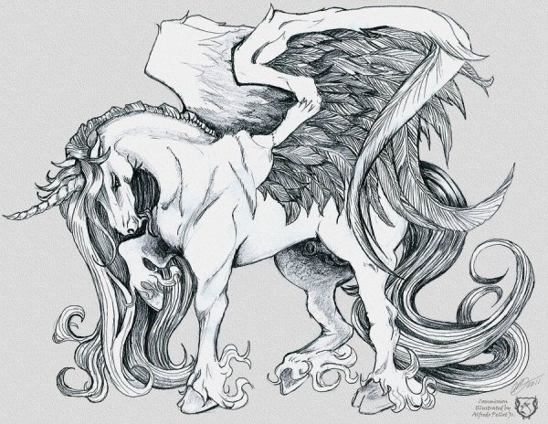 Рисунки для срисовки сложные и красивые