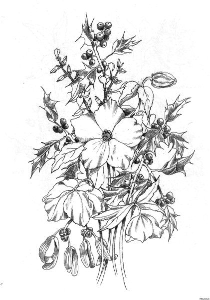 Леопард на дереве раскраска